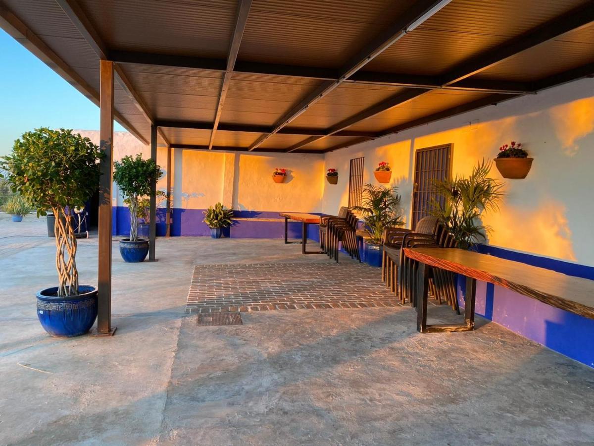 La Casa Del Olivo Villa Écija Kültér fotó